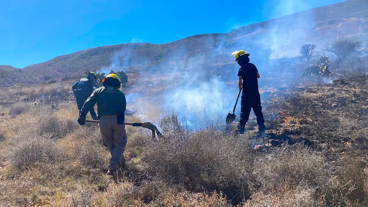 Combatientes incendios forestales Zacatecas